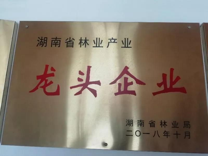 湖南旅游开发公司,怀化旅游开发公司,怀化峡谷探幽,怀化石林花山植物园