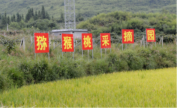 湖南旅游开发公司,怀化旅游开发公司,怀化峡谷探幽,怀化石林花山植物园