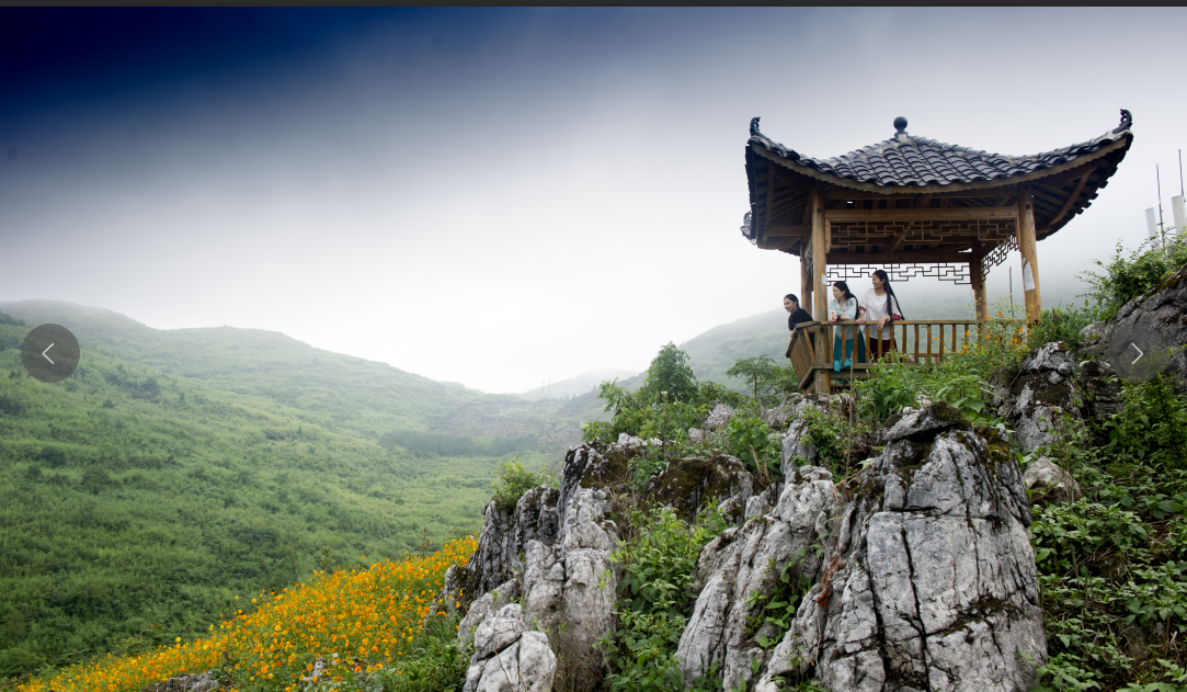 湖南旅游开发公司,怀化旅游开发公司,怀化峡谷探幽,怀化石林花山植物园