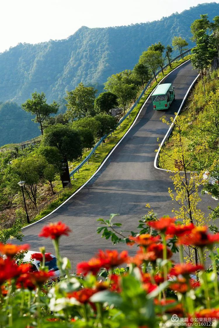 湖南旅游开发公司,怀化旅游开发公司,怀化峡谷探幽,怀化石林花山植物园